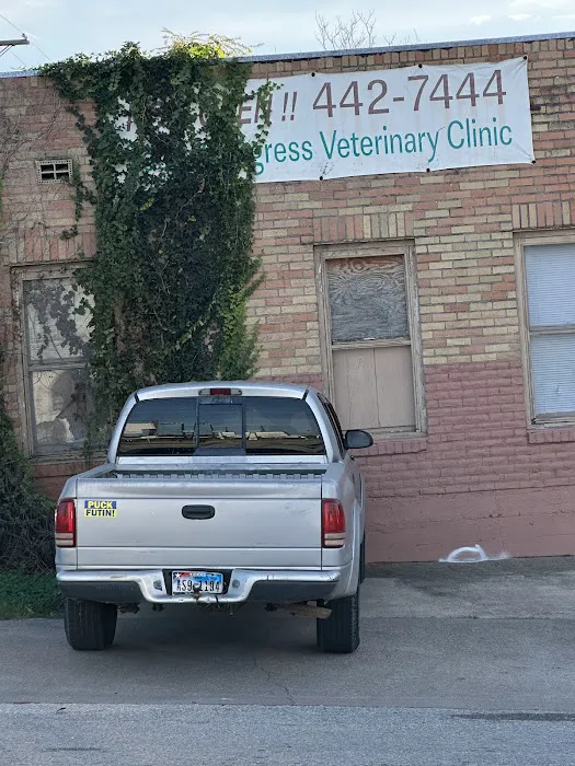 South Congress Veterinary 8