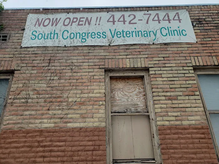 South Congress Veterinary 1