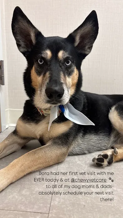 Chewy Vet Care The Triangle 12