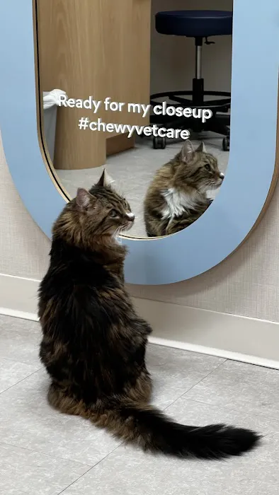 Chewy Vet Care The Triangle 12