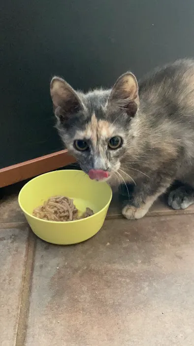 Vetco Total Care Animal Hospital 12