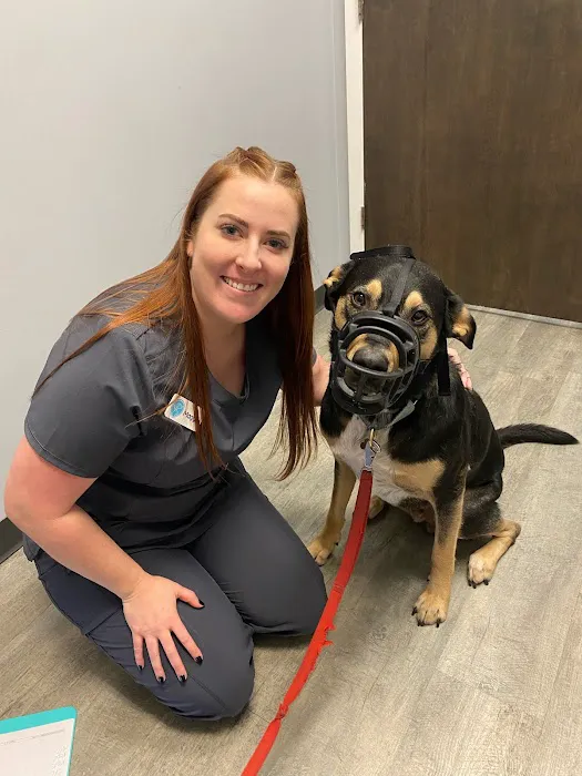 Crestview Veterinary Clinic on Airport Blvd 12