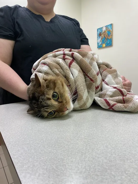 Austin Vet Hospital 12