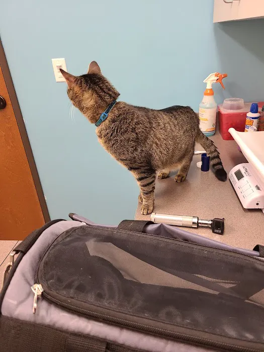 Austin Vet Hospital 12