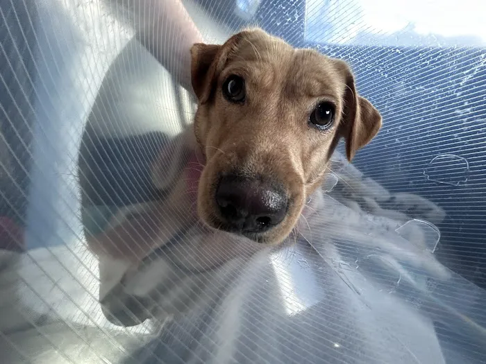 Austin Vet Hospital 12