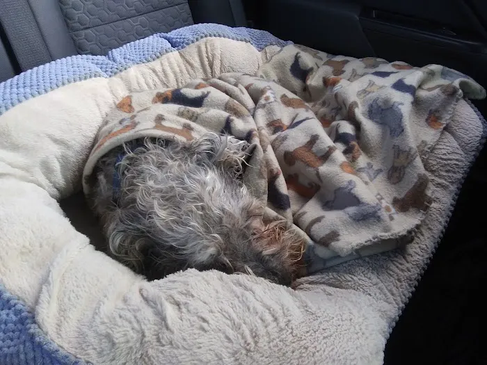 Banfield Pet Hospital 12