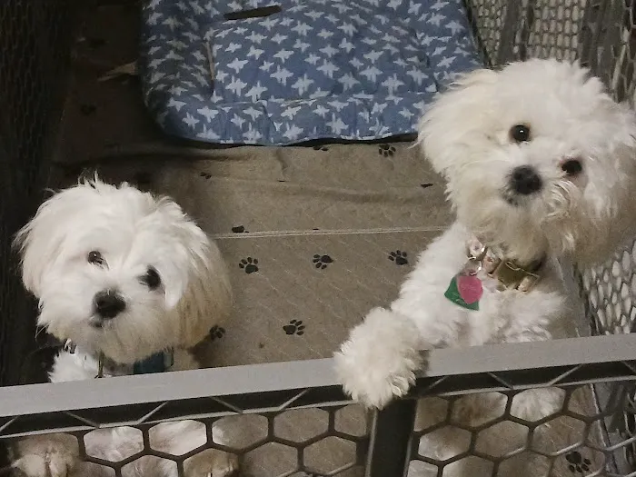 Banfield Pet Hospital 12