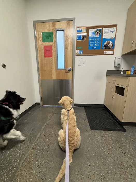 Thrive Pet Healthcare - East Austin 7