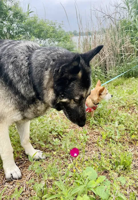 Thrive Pet Healthcare - East Austin 6