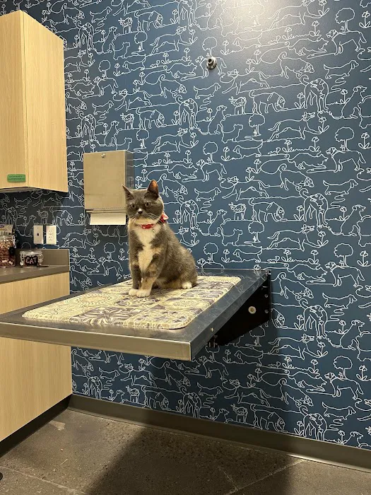 Thrive Pet Healthcare - East Austin 9