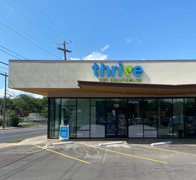 Thrive Pet Healthcare - East Austin 5