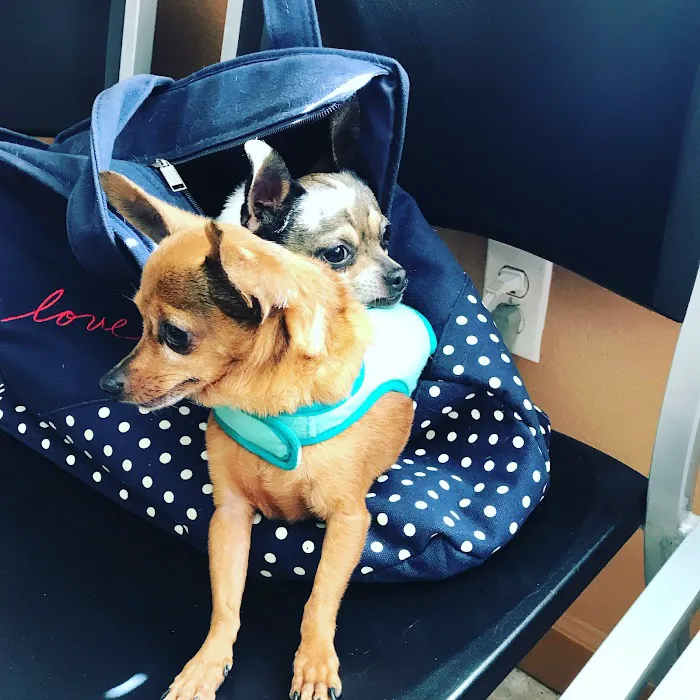 Wells Branch Pet & Bird Clinic 10