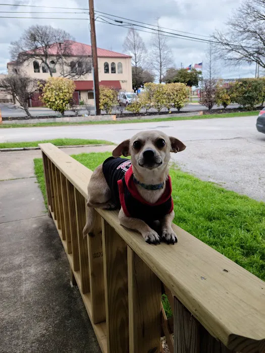 Wells Branch Pet & Bird Clinic 3
