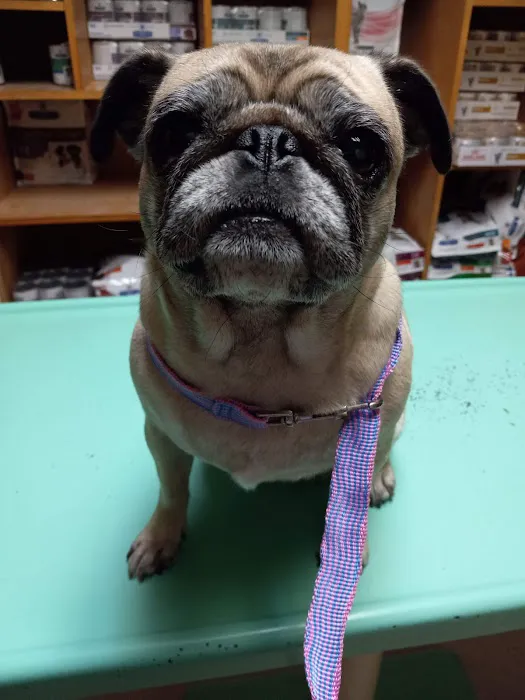 North Lamar Veterinary Clinic 1