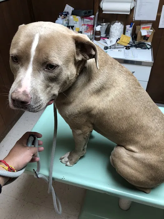 North Lamar Veterinary Clinic 4