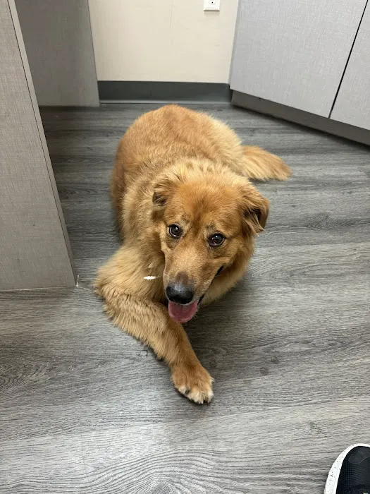 Sunbury Veterinary Clinic 8