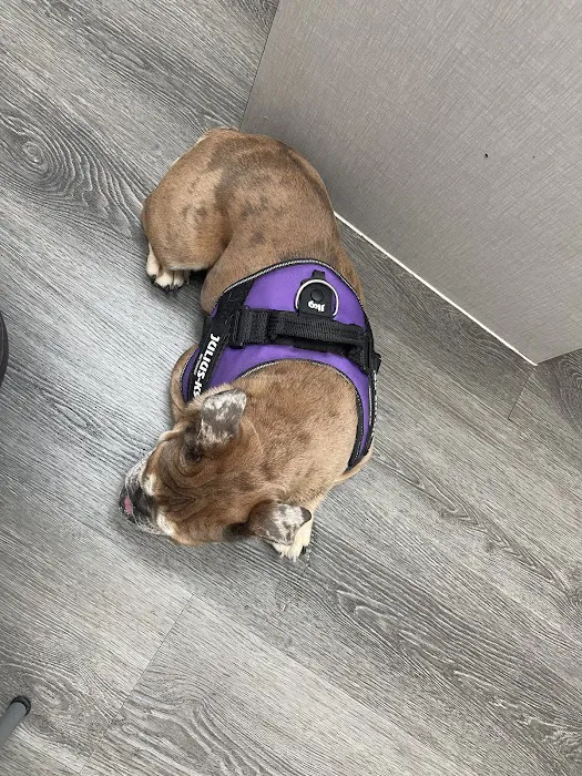 Sunbury Veterinary Clinic 6
