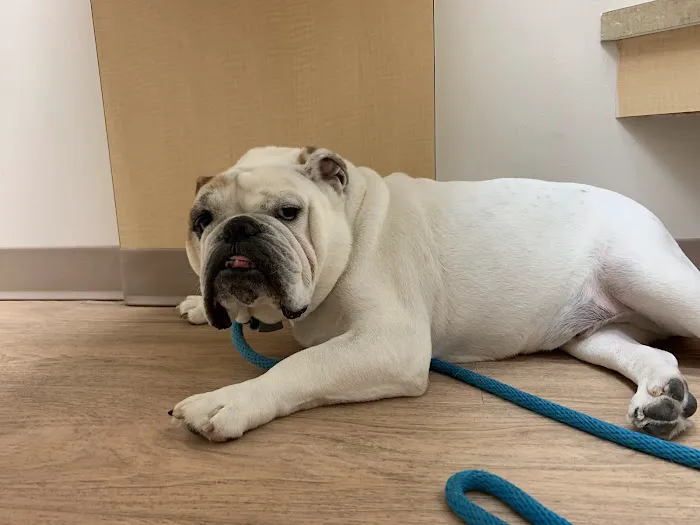 Sunbury Veterinary Clinic 2
