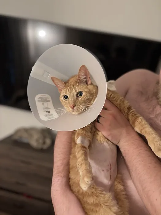 Emancipet Austin Dental and Surgical Center 12
