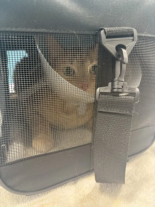 Emancipet Austin Dental and Surgical Center 12