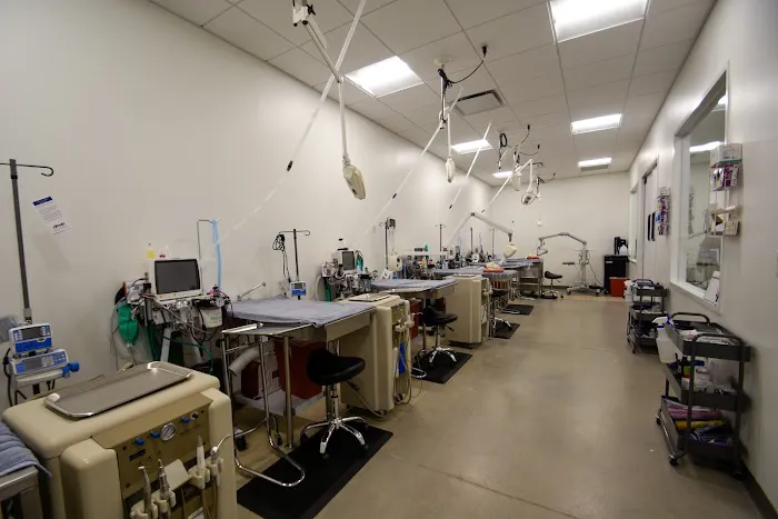 Emancipet Austin Dental and Surgical Center 12