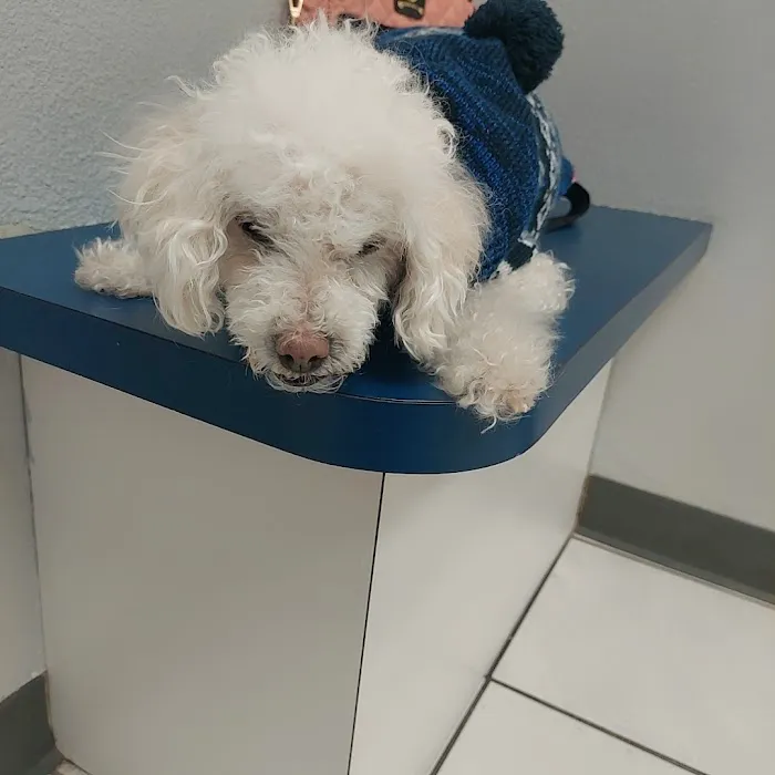 Animal Medical Center of Austin 5
