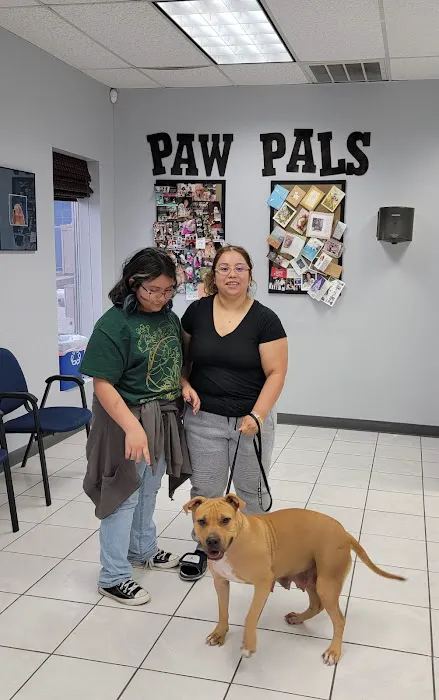 Animal Medical Center of Austin 7
