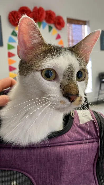 Animal Medical Center of Austin 2
