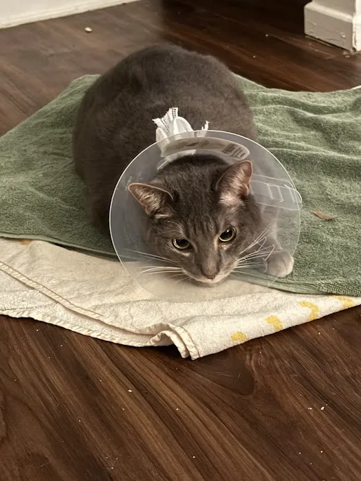Animal Medical Center of Austin 4