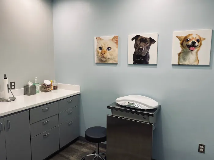 Bluebonnet Riverside Veterinary Clinic 8