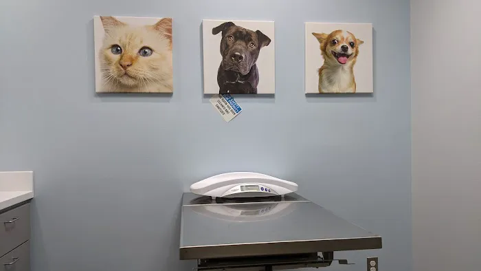 Bluebonnet Riverside Veterinary Clinic 6