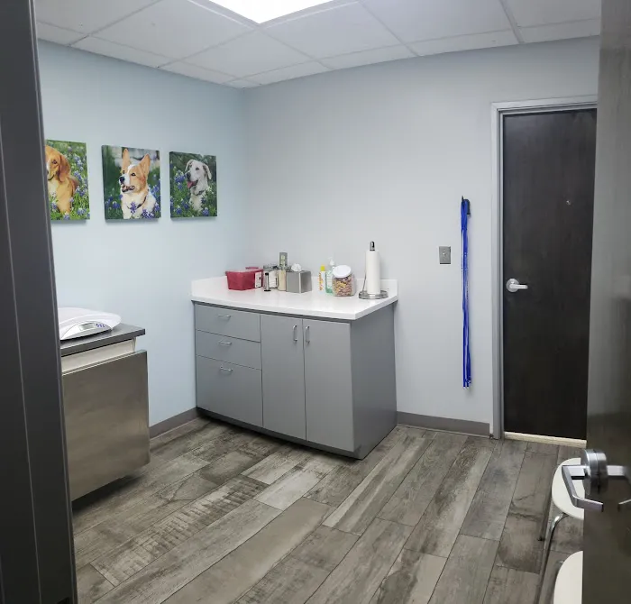 Bluebonnet Riverside Veterinary Clinic 3