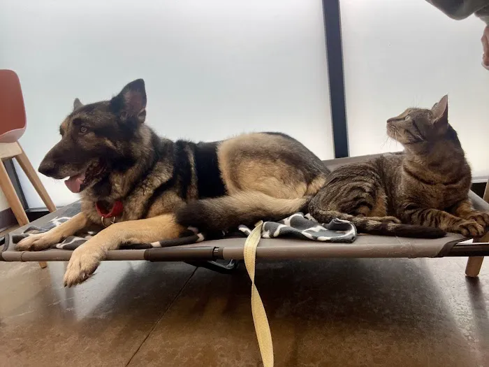 PAZ Veterinary East 4