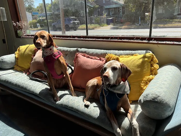 PAZ Veterinary East 7