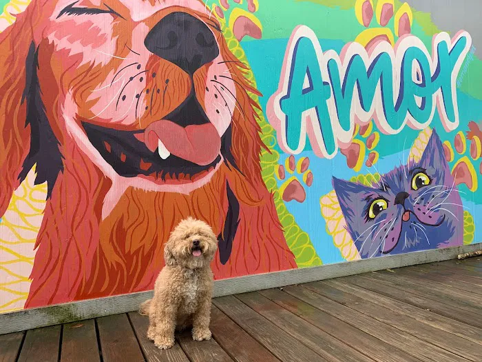 Emancipet 9