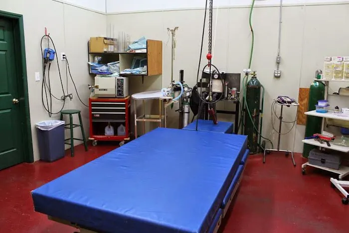 Flat River Veterinary Hospital 12