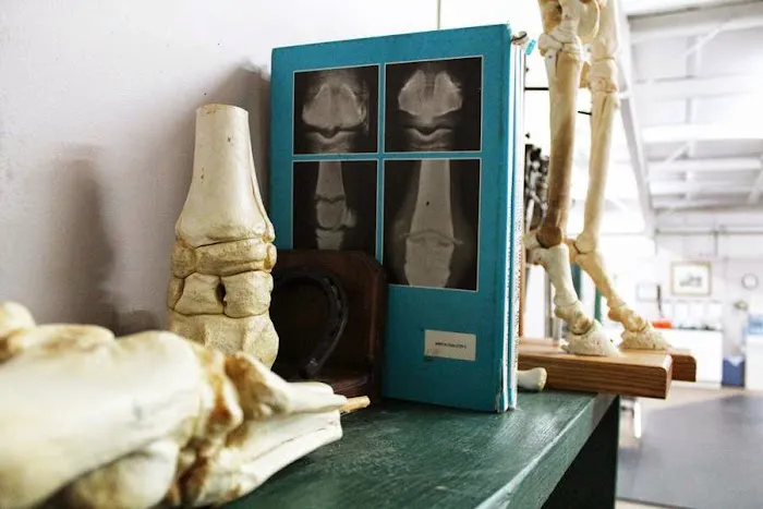 Flat River Veterinary Hospital 12