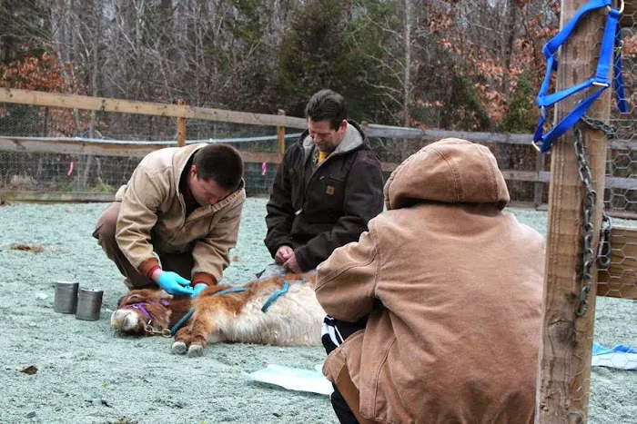 Flat River Veterinary Hospital 12