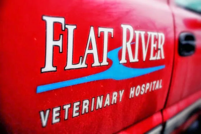 Flat River Veterinary Hospital 12
