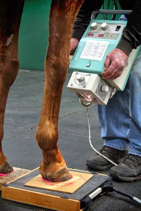 Flat River Veterinary Hospital 12