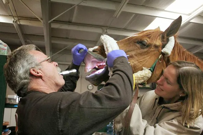 Flat River Veterinary Hospital 12