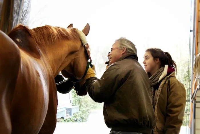 Flat River Veterinary Hospital 12