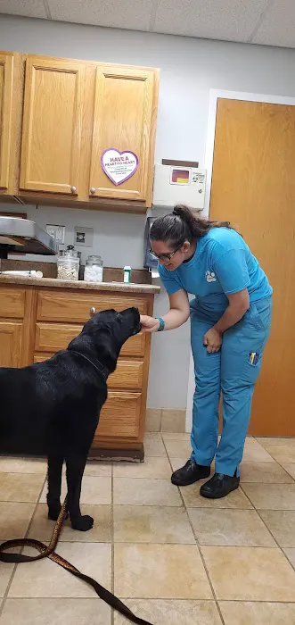 Bahama Road Veterinary Hospital: Konvalinka Chris DVM 1