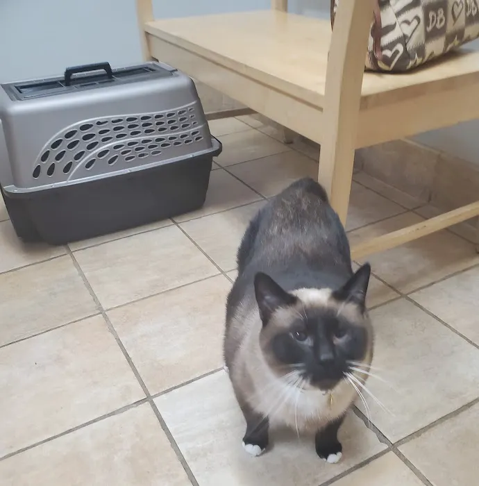Bahama Road Veterinary Hospital 3