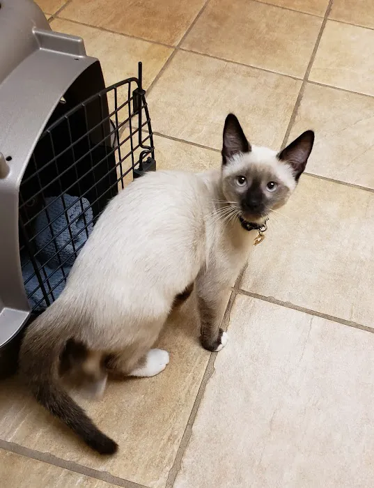 Bahama Road Veterinary Hospital 4
