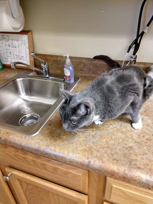 Bahama Road Veterinary Hospital 8