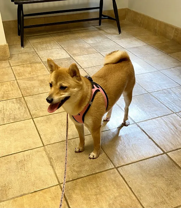 Bahama Road Veterinary Hospital 10