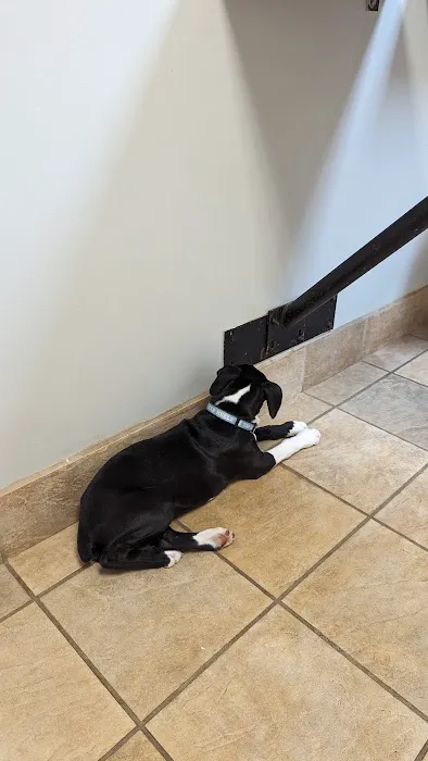 Bahama Road Veterinary Hospital 6