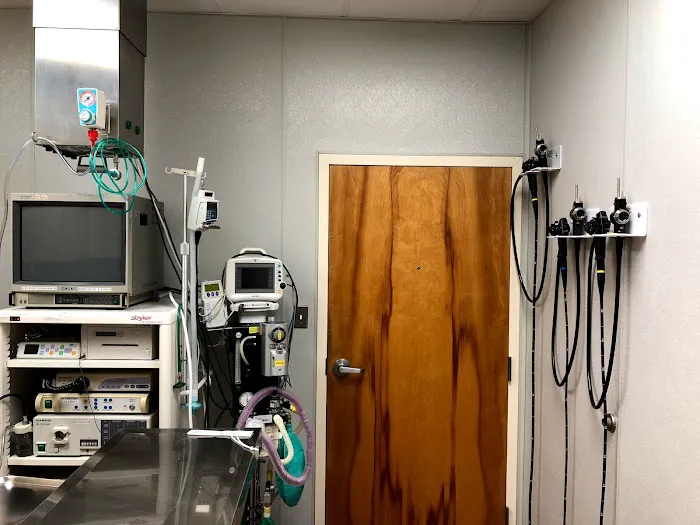 Animal Emergency & Critical Care of Lynchburg 12
