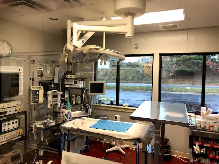 Animal Emergency & Critical Care of Lynchburg 12
